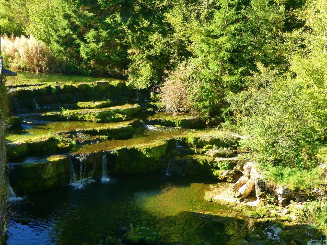 ホテル Aux Truites Bleues Fort-du-Plasne エクステリア 写真