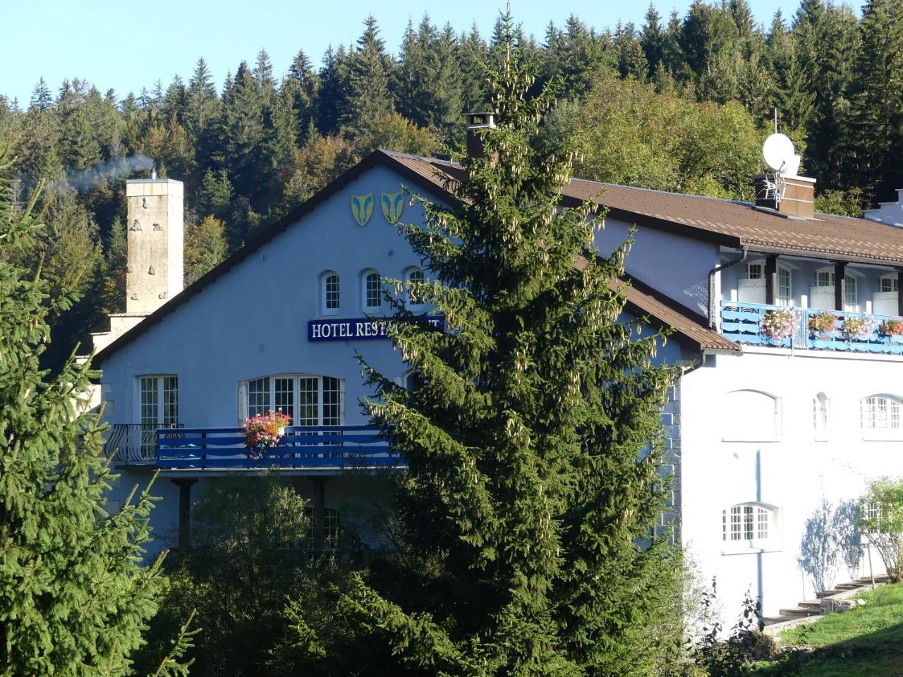 ホテル Aux Truites Bleues Fort-du-Plasne エクステリア 写真