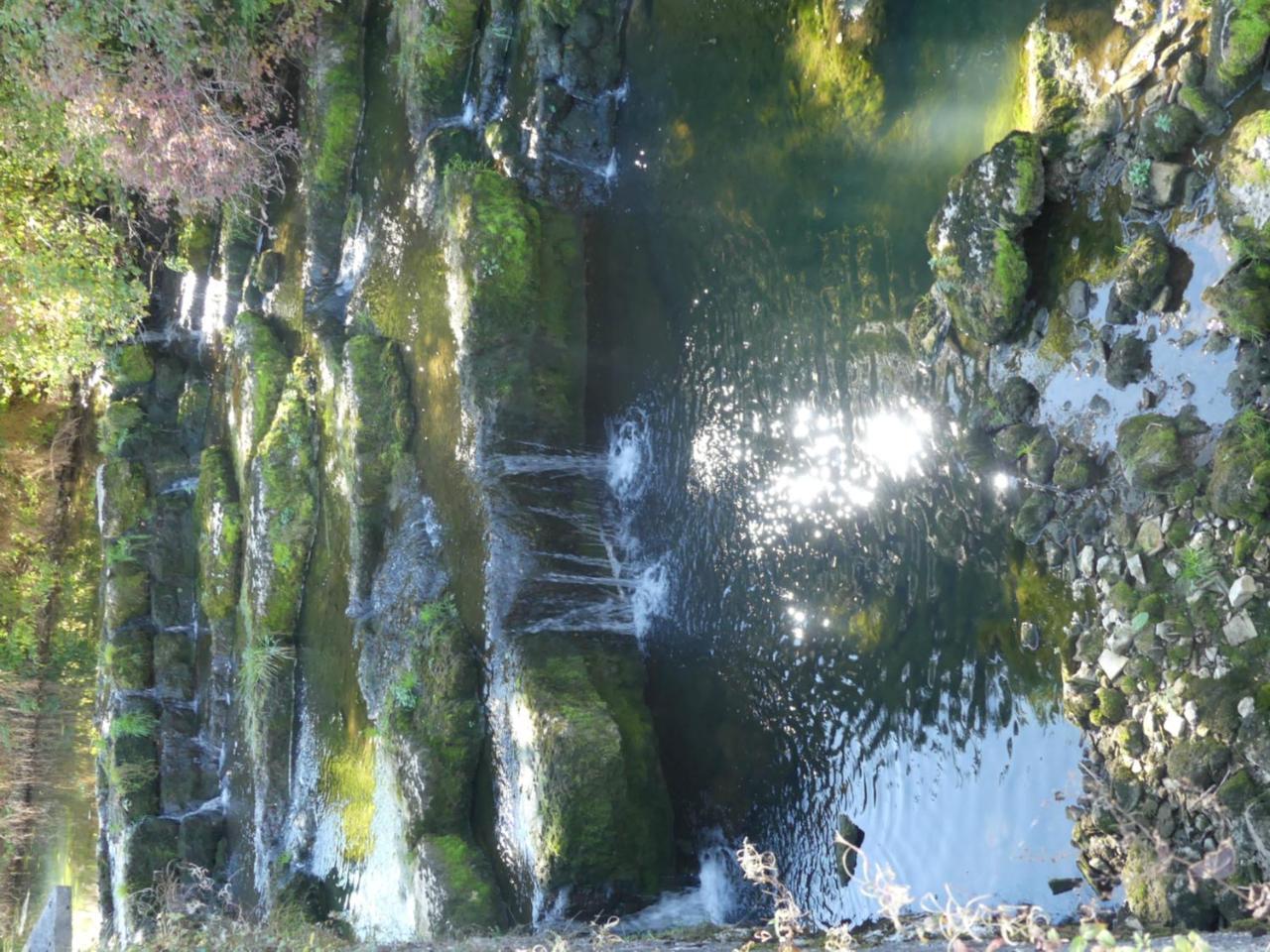 ホテル Aux Truites Bleues Fort-du-Plasne エクステリア 写真