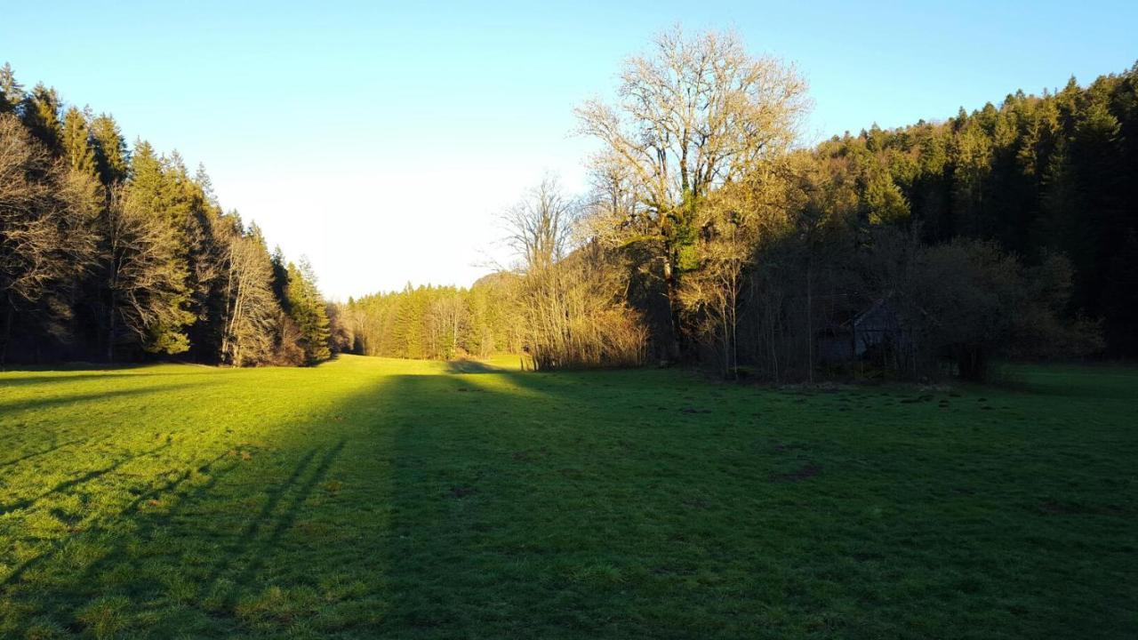 ホテル Aux Truites Bleues Fort-du-Plasne エクステリア 写真