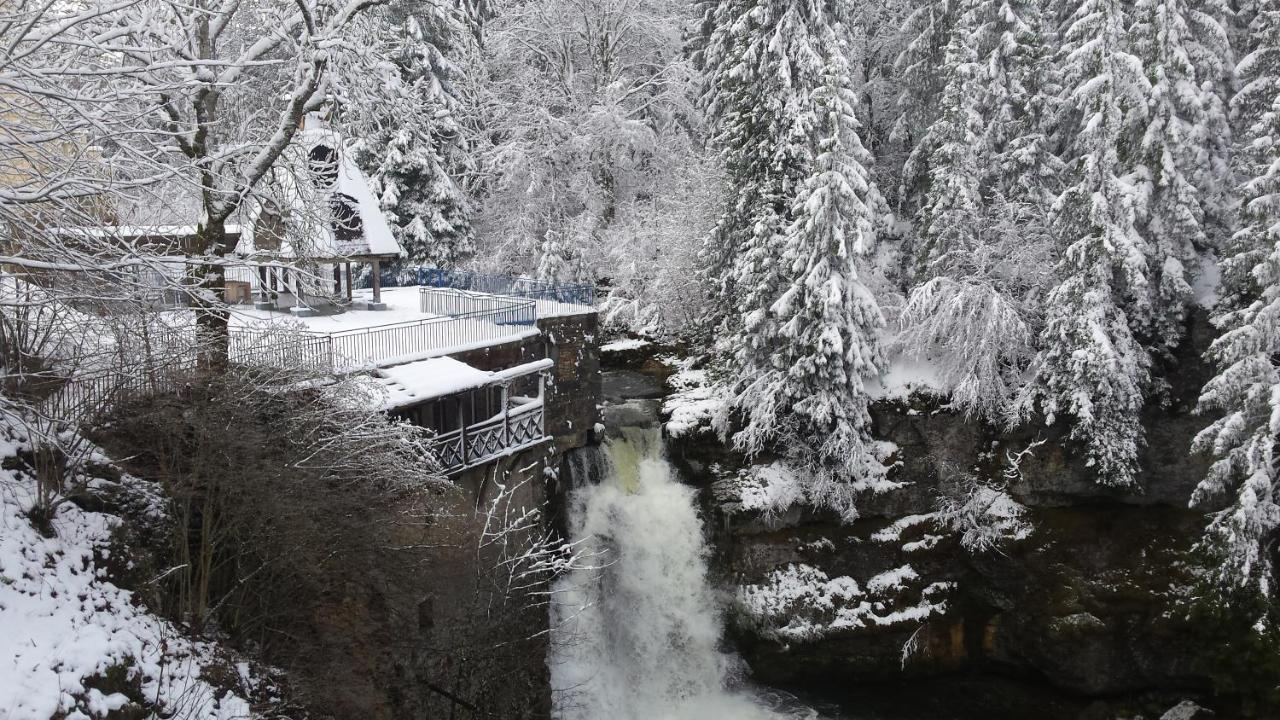 ホテル Aux Truites Bleues Fort-du-Plasne エクステリア 写真